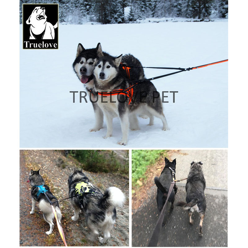 Correa doble de nailon Truelov - Running Gear Dog reseña y precio