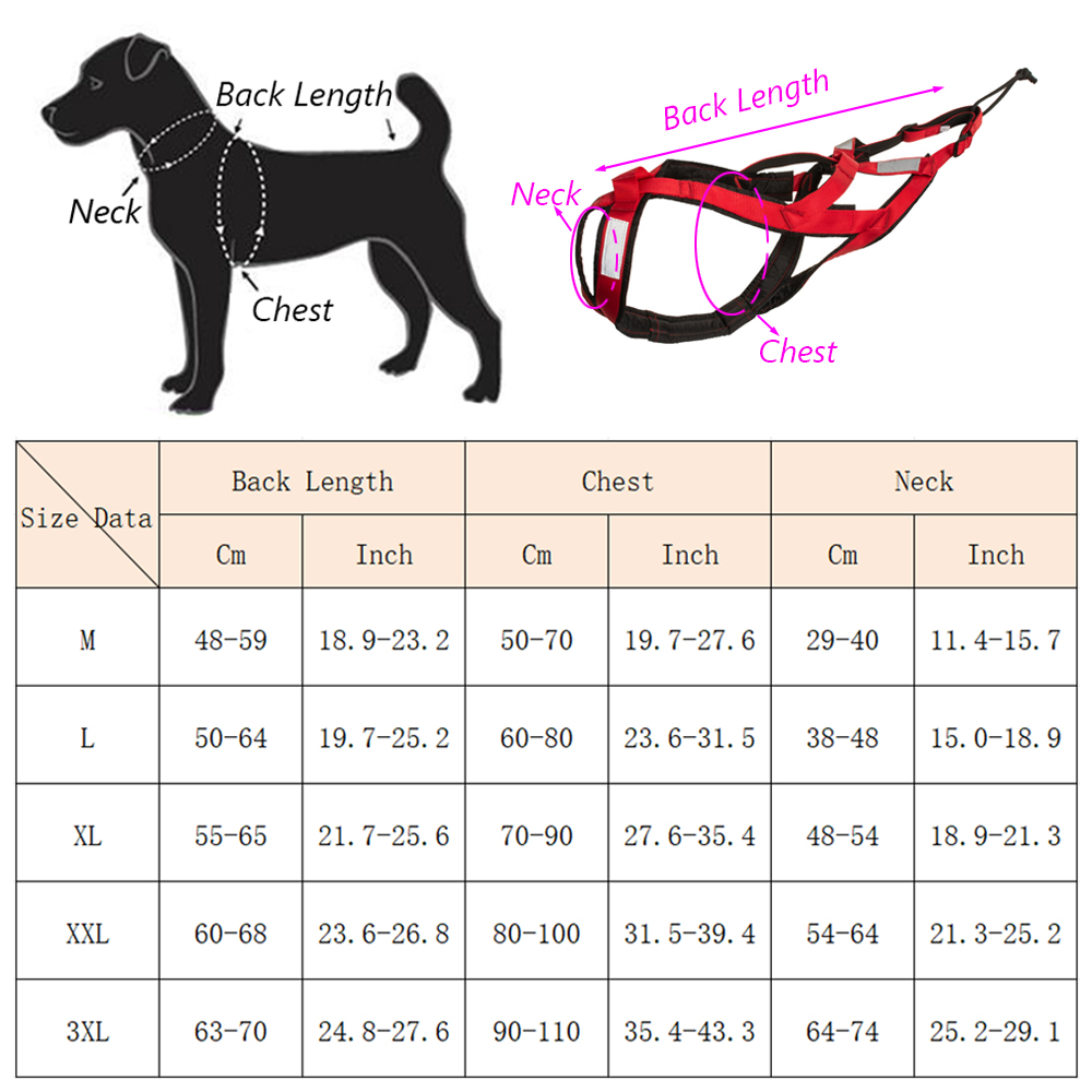 Arnés de Alta Calidad para Per - Running Gear Dog reseña y precio