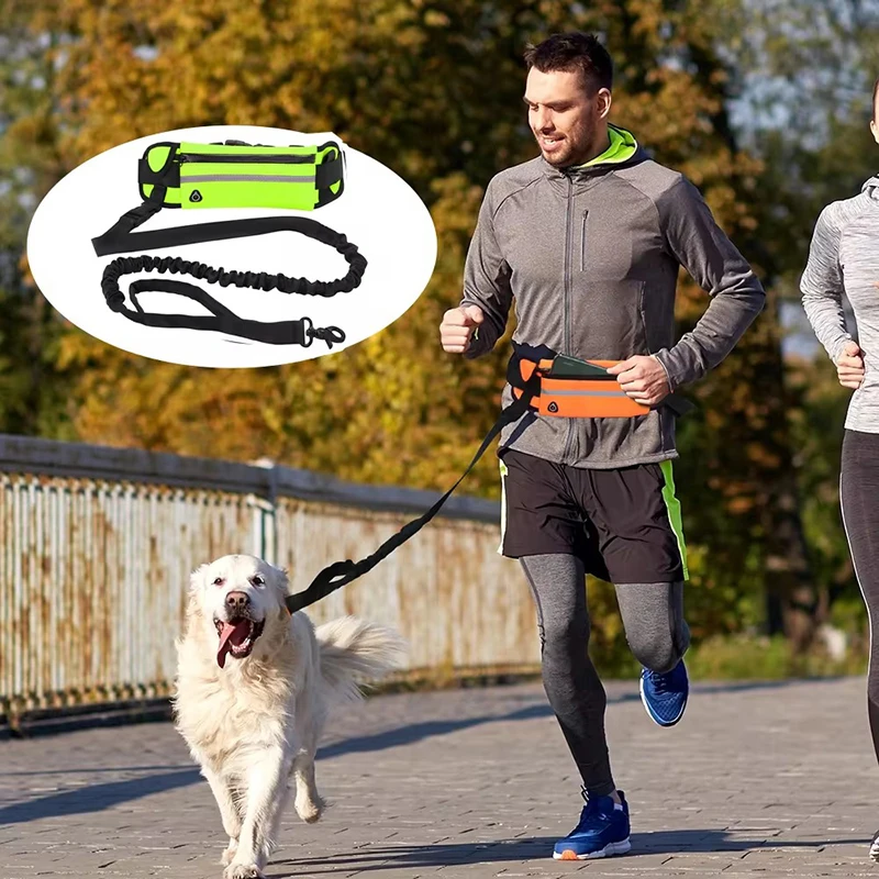 Correa de perro manos libres p - Running Gear Dog reseña y precio