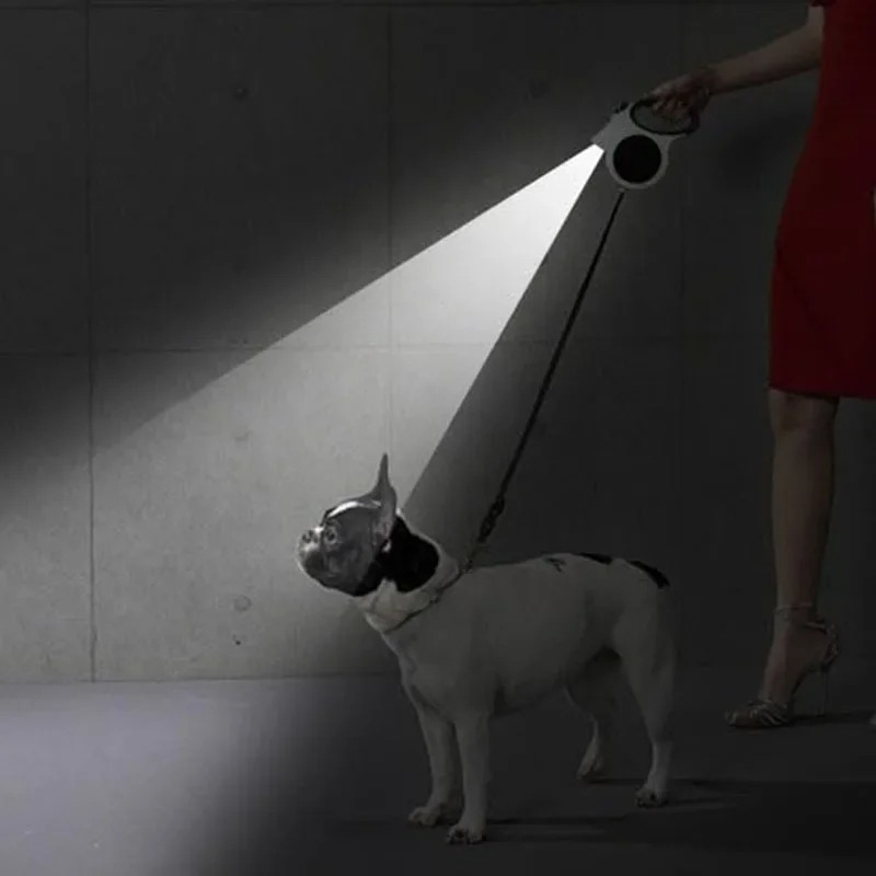 Correa retráctil iluminada par - Running Gear Dog reseña y precio