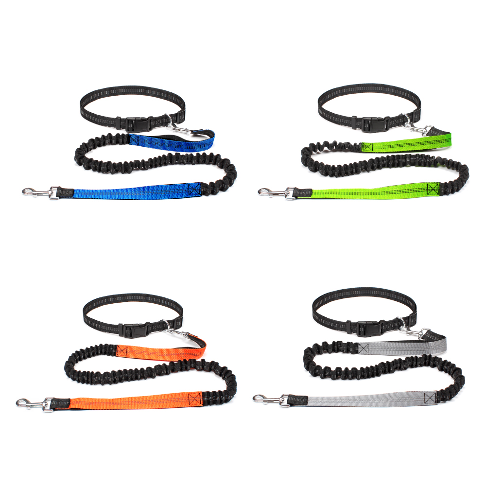 Correa de mano libre para perr - Running Gear Dog reseña y precio