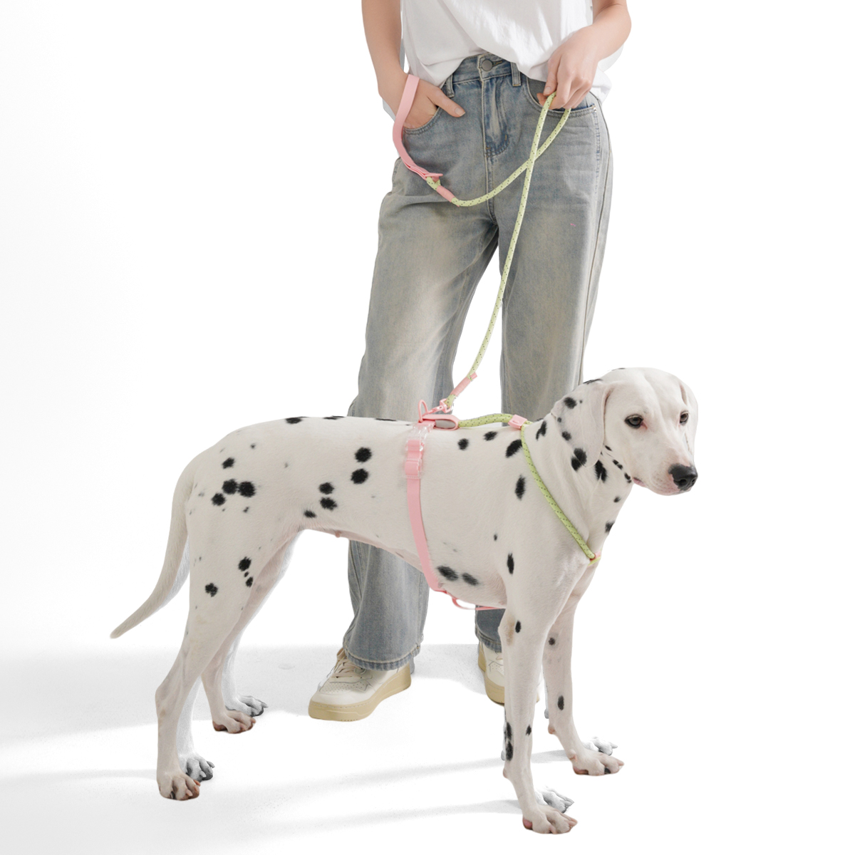 Arnés para perros pequeños y m - Running Gear Dog reseña y precio