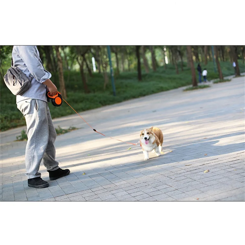 Correa retráctil para perro de - Running Gear Dog reseña y precio