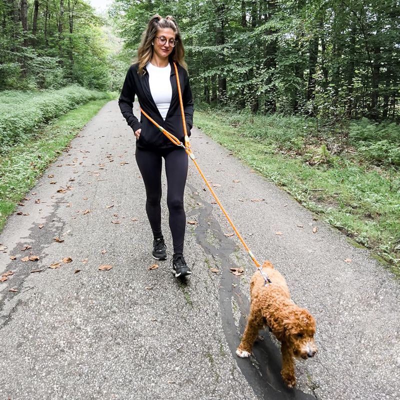 Correa reflectante para perros - Running Gear Dog reseña y precio